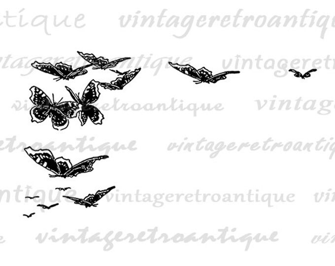 Printable Image Butterflies Download Flying Butterfly Digital Graphic Vintage Clip Art Jpg Png Eps HQ 300dpi No.3028