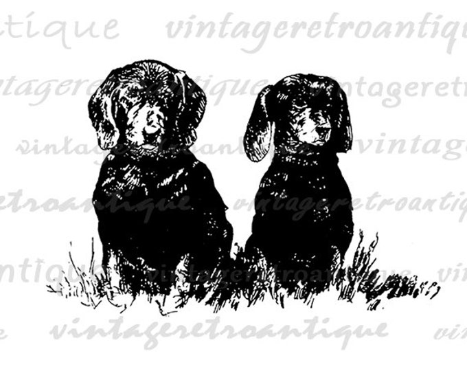 Two Dachshund Wiener Dogs Printable Digital Download Graphic Illustration Image Antique Clip Art Jpg Png Eps HQ 300dpi No.3473