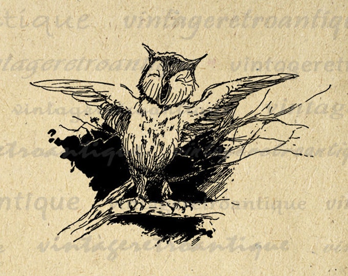 Printable Graphic Owl Image Illustration Download Digital Vintage Clip Art Jpg Png Eps HQ 300dpi No.1873