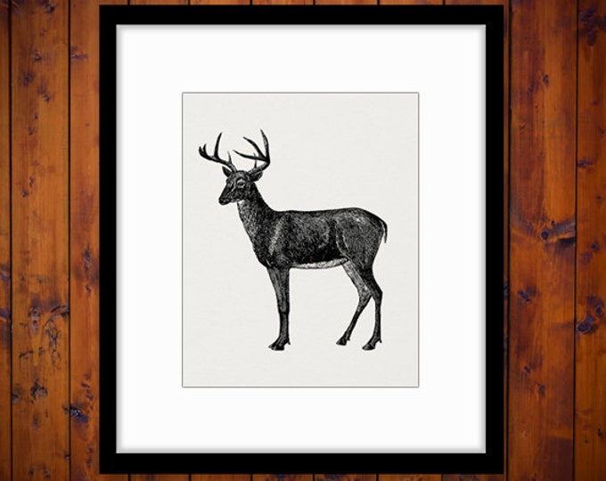 Digital Deer Image Graphic Printable Deer Illustration Download Artwork Vintage Clip Art Jpg Png Eps HQ 300dpi No.2133