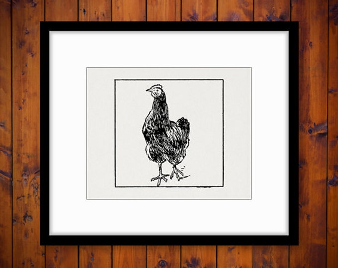 Digital Rooster Image Download Chicken Printable Illustration Graphic Antique Clip Art Jpg Png Eps HQ 300dpi No.3815