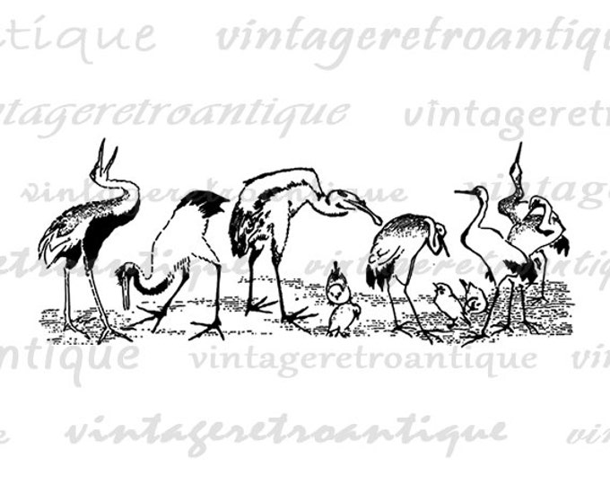 Printable Graphic Birds Image Illustration Digital Download Antique Clip Art Jpg Png Eps HQ 300dpi No.1598