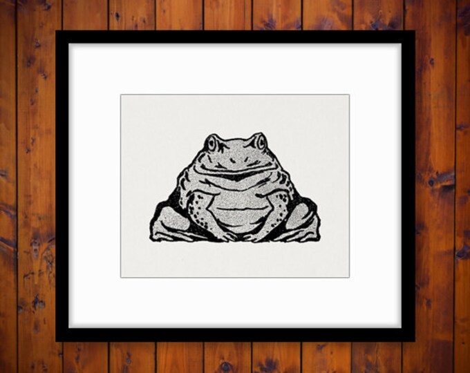 Digital Printable Antique Frog Image Toad Graphic Illustration Download Vintage Clip Art Jpg Png Eps HQ 300dpi No.314