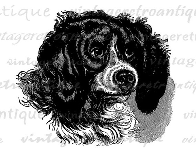 Printable Dog Image Graphic Download Illustration Digital Artwork Vintage Clip Art Jpg Png Eps HQ 300dpi No.2240