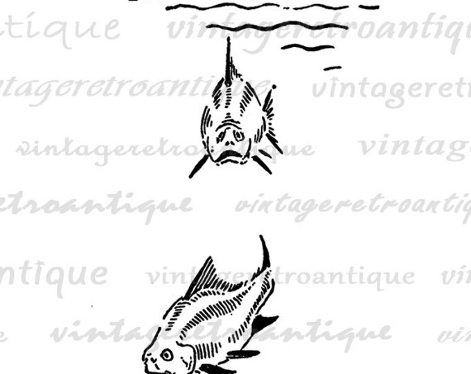 Digital Printable Fish Graphic Antique Artwork Download Image Vintage Clip Art for Transfers Making Prints etc HQ 300dpi No.845