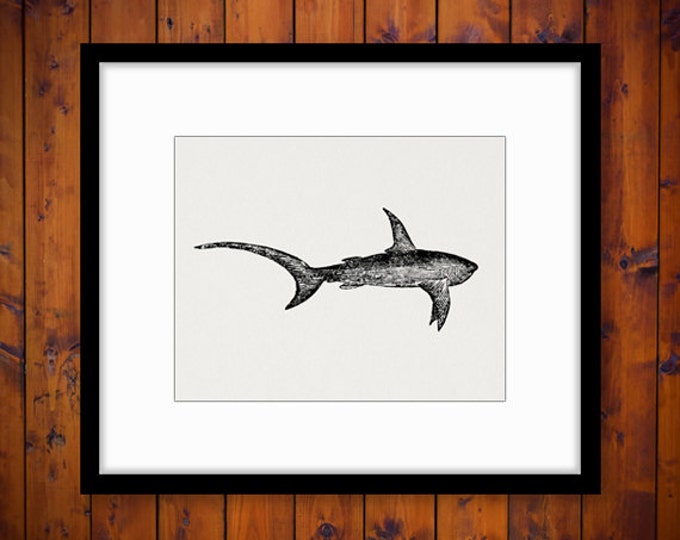 Swimming Shark Printable Digital Image Download Graphic Antique Clip Art Jpg Png Eps HQ 300dpi No.578