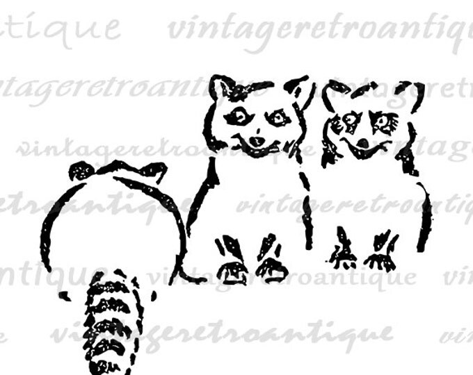 Printable Digital Raccoons Graphic Raccoon Download Three Raccoons Image Vintage Clip Art for Transfers Printing etc HQ 300dpi No.4633