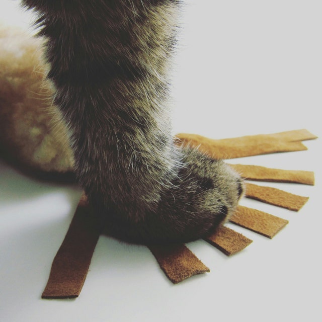 unique cat toys