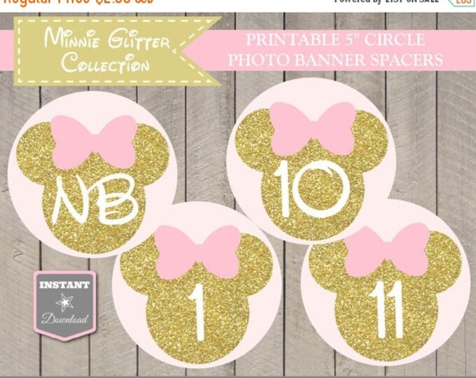 SALE INSTANT DOWNLOAD Printable Glitter Pink Mouse 12 Month Photo Banner Spacer / 1st One Birthday/ Glitter Mouse Collection / Item #2010