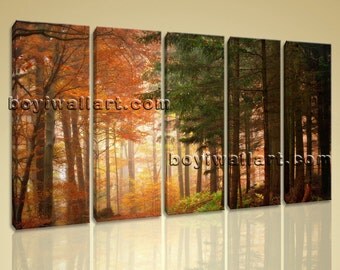 japanese forest autumn landscape photography spider lily japanese forest autumn landscape photography spider lily