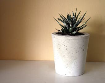 Concrete Planter. Succulent, Air Plant, Minimalist Home Decor, Cement Pot