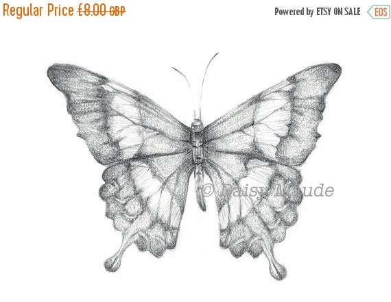 SALE Butterfly Delicate Pencil Graphite Drawing by TheInkyDeer