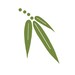 TwinBrookBeadDesign