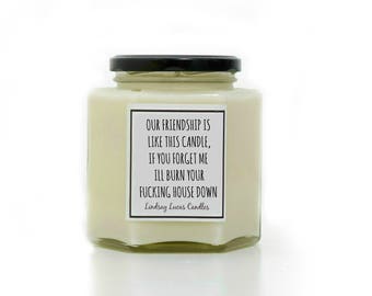 Our Friendship is like this candle, if you forget me I will burn your Fucking house down" Funny Gift For Friend, Funny Gift, Scented Candle
