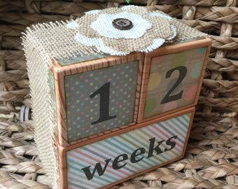 Baby Age Blocks - Monthly Age Blocks - Weeks, Months, Years, Grade - Pregnancy Countdown Blocks - Baby Photo Prop - Nursery Blocks