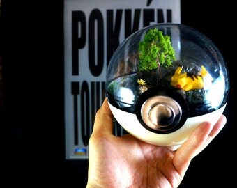 SLEEPING SERIES - 140mm (5.5inch) Pokeball Diorama