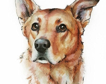 CUSTOM PET PORTRAIT - watercolor and ink illustration or your pet - dog cat custom gift art