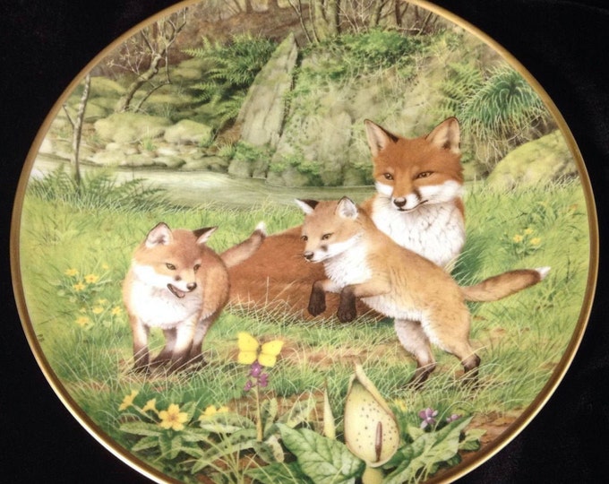 Red Fox Plate, Woodland Animals Wall Plate, Fox Gift, Vixen and Kits, Gift For Christmas, Gift For Him, Gift For Her