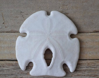Keyhole Sand Dollars, Mexican Arrowhead Sand Dollar, Encope Grandis, Beach Decor, Wedding Supply (2.75 - 3.5") 1 Piece
