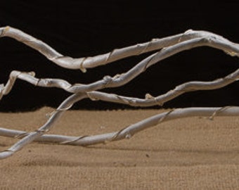 LED Lighted Pearl Branches Curly Willow Branches white or pink