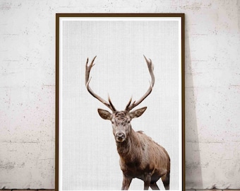 Deer Antlers Decor, Wilderness Wall Art, Rustic Hunting Decor, Black and White Animal Photo, Rustic Antlers Print, Instant Digital Download