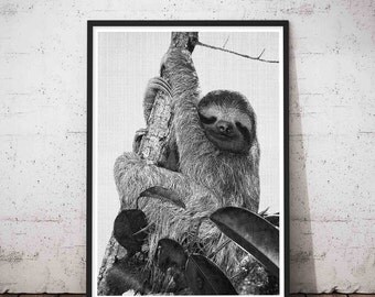 Sloth Print, Sloth Nursery, Woodland Zoo, Sloth Wall Art, Wood Wall Art, Sloth Art Print, Woodland, Sloth Printable, Sloth Decal,Sloths