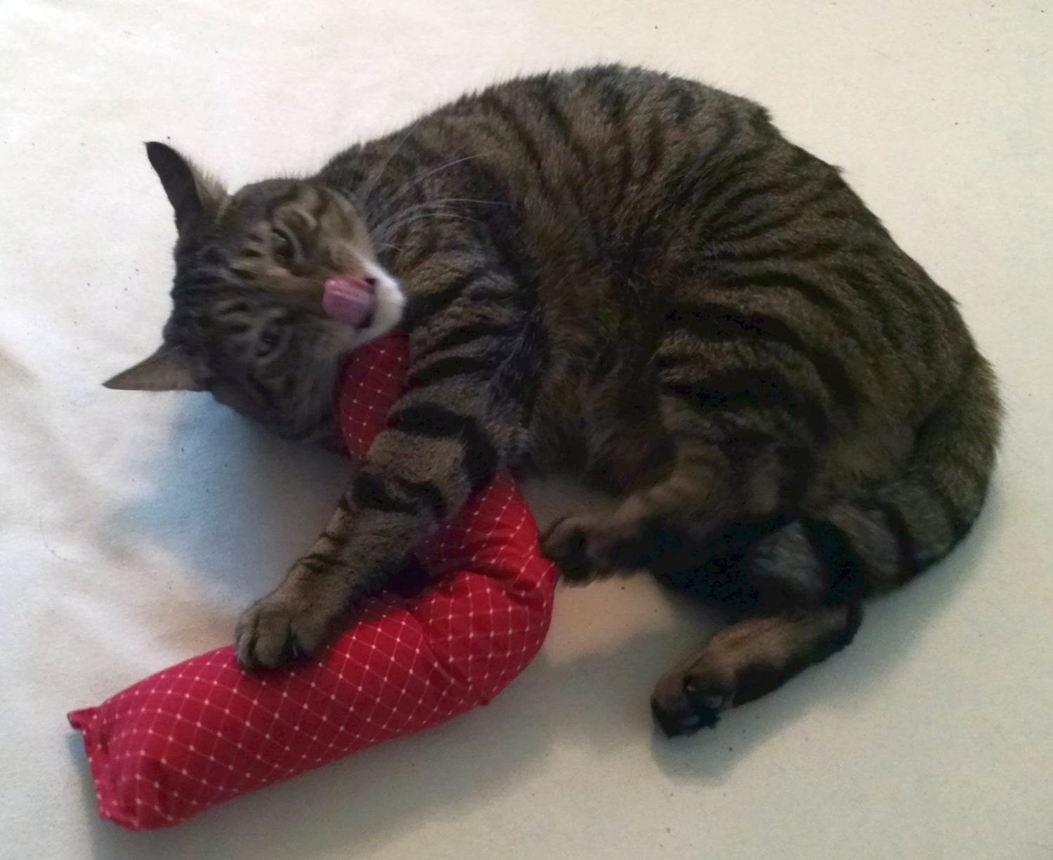 15 in. Giant Cat Kicker Toy W/Catnip Pocket / Catnip Cat Toy