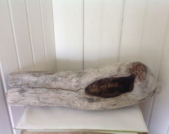 Reptile Terrarium supply Driftwood decor Terrarium supplies Aquarium supplies Succulent gardens Bulk Driftwood Cacti gardens Terrarium wood