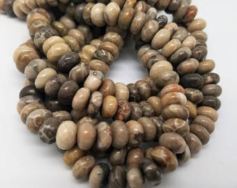 10 mm , Fossil Coral Smooth Rondelle , 14.5 Inch