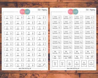 Pregnancy Planner Stickers, Doodle Planner Stickers, Pregnancy Countdown, Pregnancy Tracking, Pregnancy Milestone, Maternity Stickers (C013)