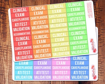 Nursing Student Planner Stickers, Student Planner Sickers, Inspired By Erin Condren Planner Stickers, Happy Planner Stickers S005