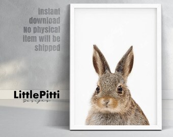 Rabbit print, woodland nursery decor, rabbit photo, baby shower gift, bunny rabbit, modern animal print, rabbit print wall art, digital art