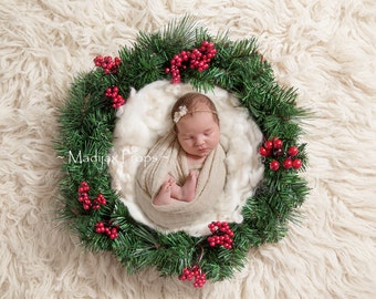 Digital Christmas Backdrop - prop for newborn photography