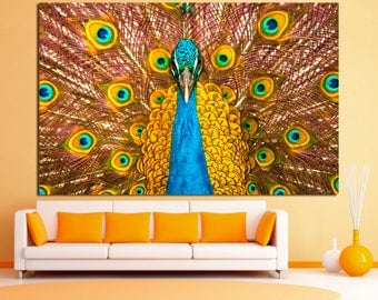 peacock wall painting simple