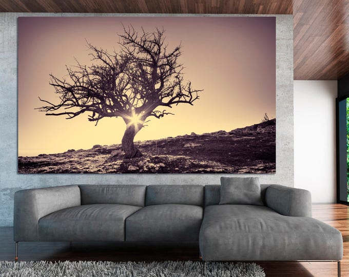 Large Desert Tree nature photography wall art print set of 3 or 5 panels on canvas, tree landscape sunset photography home decoration poster