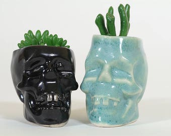 Skull planter, Succulent Plant Pot, Succulent Planter, Cute planter, Cute pot,Skull pot, Skull Succulent, Mothers day gift, Ceramic planter