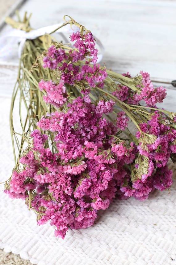 Dried American Beauty Statice Dried Flowers Pink Statice