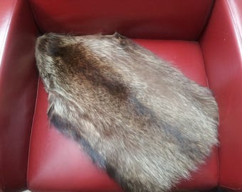 Raccoon fur piece, craft fur,fur trim,