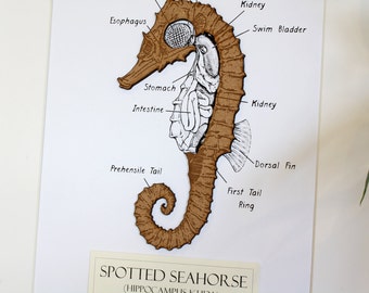 Seahorse Wall Art seahorse wall art | etsy Seahorse Wall Art seahorse wall art | etsy