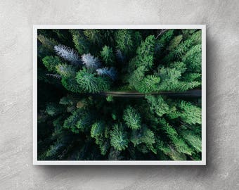 Forest Wall Art forest wall art | etsy Forest Wall Art forest wall art | etsy