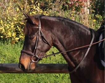 KK COMFYTACK Western Cuir Cheval Tripping Breast Col Marron