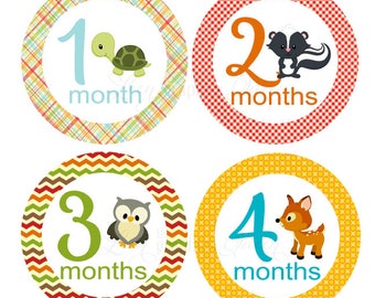 Gender Neutral Baby Month Stickers Woodland Animals Baby Girl Boy Growth Decals Monthly Baby Stickers Baby Shirt Stickers Baby Shower Gift
