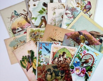 Group of 14 Victorian Trade Cards with Birds