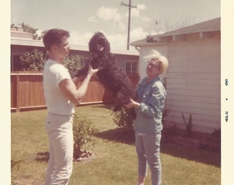 Vintage Snapshot "Fifi" Standard Poodle Dog Kodacolor Found Photo