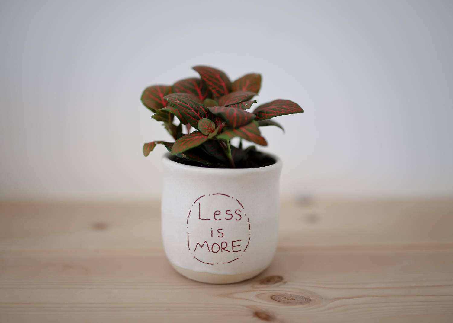 White ceramic planter Succulent planter Ceramic plant pot