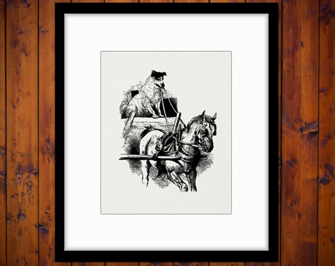 Digital Image Dog Driving Horse Carriage Graphic Illustration Printable Download Vintage Clip Art Jpg Png Eps HQ 300dpi No.3350