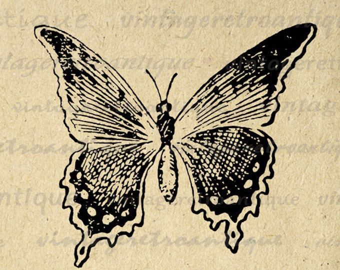 Butterfly Digital Image Download Printable Butterfly Illustration Graphic Vintage Clip Art Jpg Png Eps HQ 300dpi No.2468