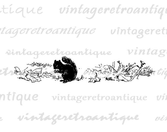 Digital Graphic Squirrel Silhouette Image Download Printable Vintage Clip Art Jpg Png Eps HQ 300dpi No.561