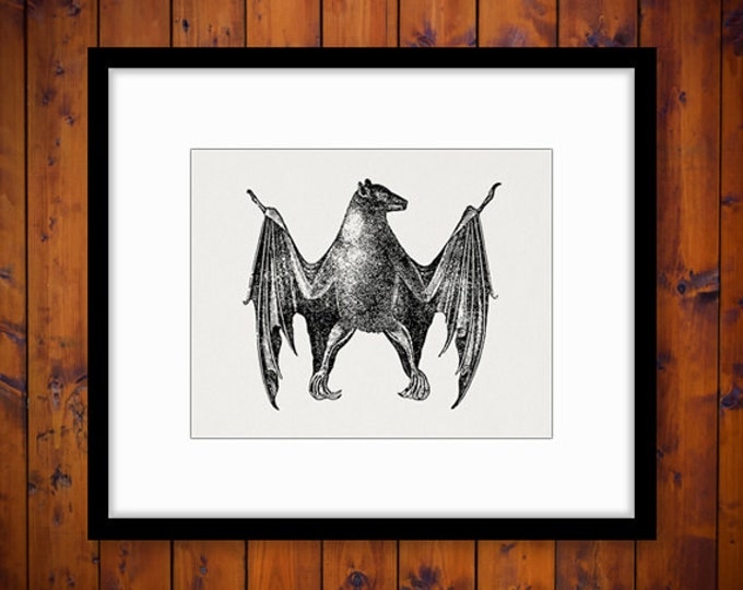 Digital Graphic Antique Bat Illustration Download Image Halloween Printable Vintage Clip Art Jpg Png Eps HQ 300dpi No.3866