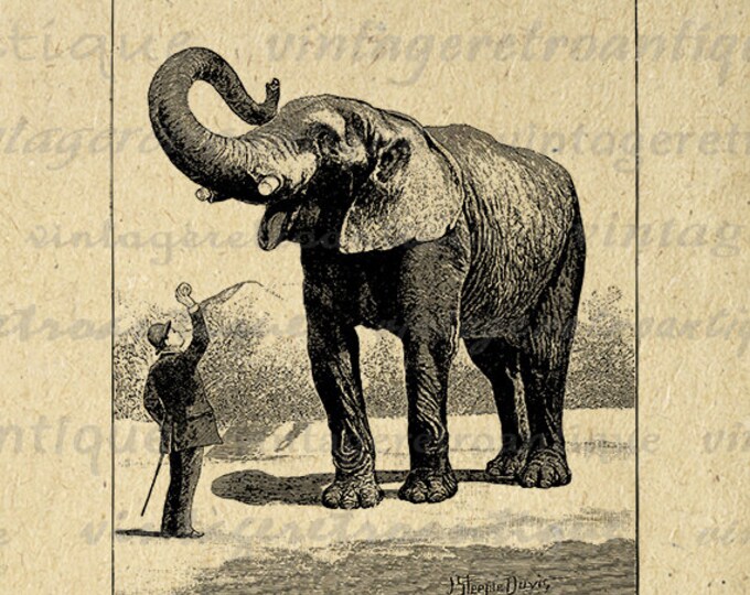 Digital Elephant Graphic Image Antique Download Printable Vintage Clip Art Jpg Png Eps HQ 300dpi No.772